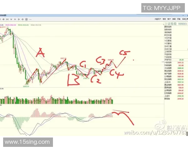 西安羽毛球队防守策略分析与比赛表现评估探讨
